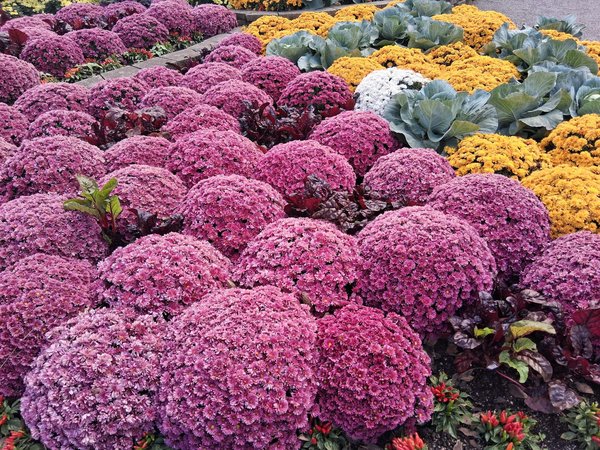 Essential Tips for Seamlessly Adjusting to Your New Neighborhood after a House Move in the UK