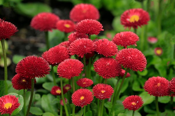 Essential Guide: How to Safeguard Sensitive Legal Documents When Moving Homes in the UK